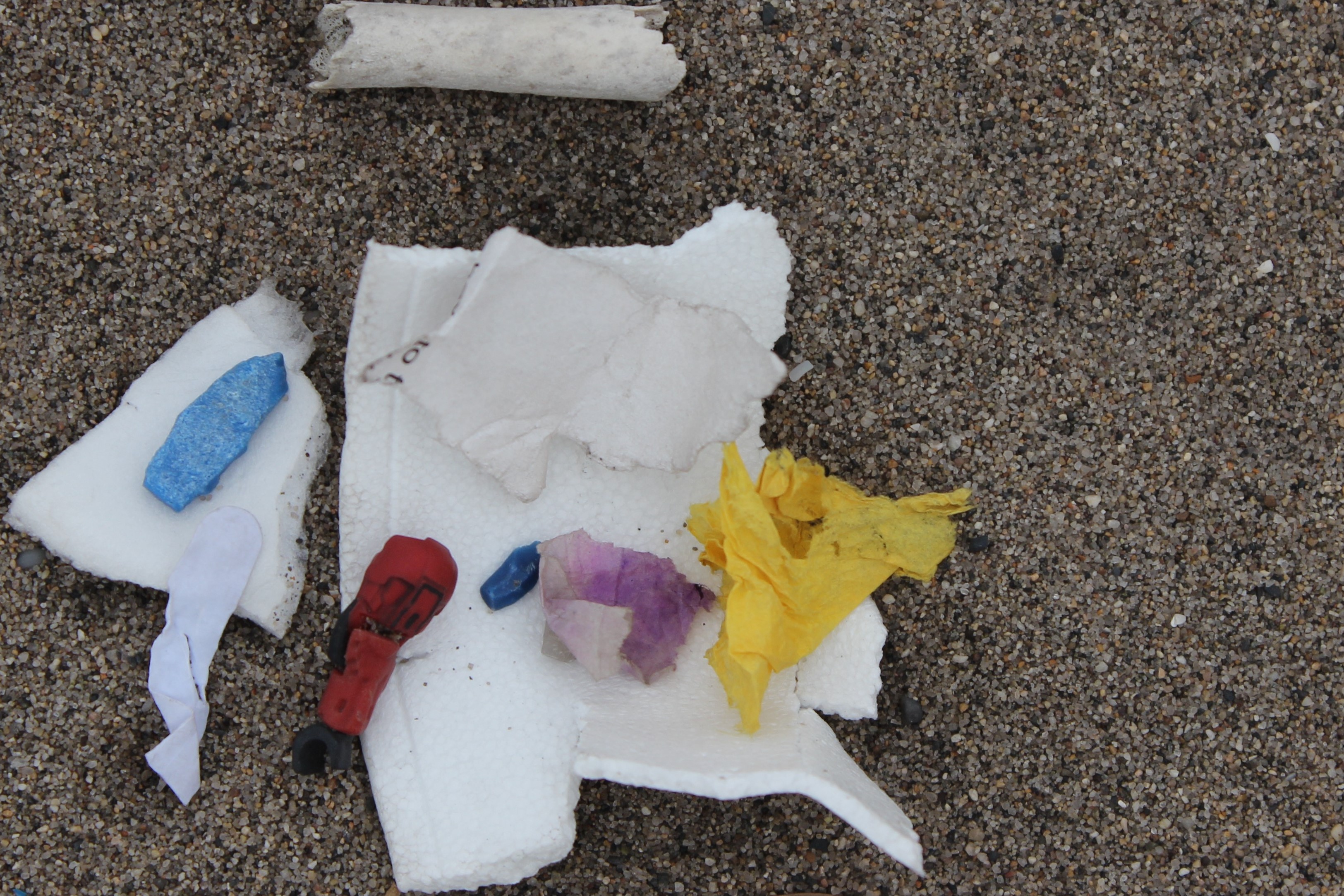 coastal clean up news2