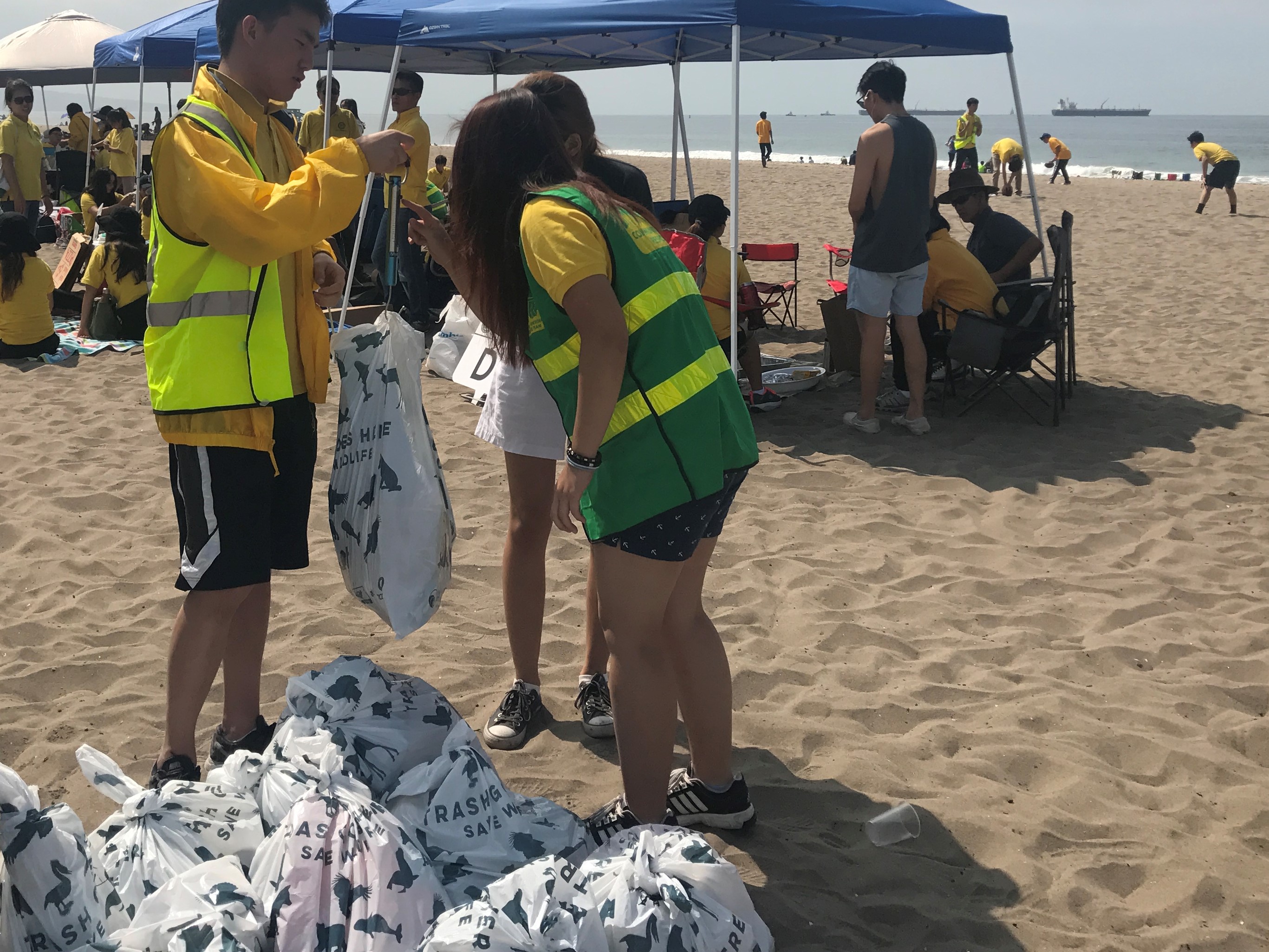 coastal clean up news7